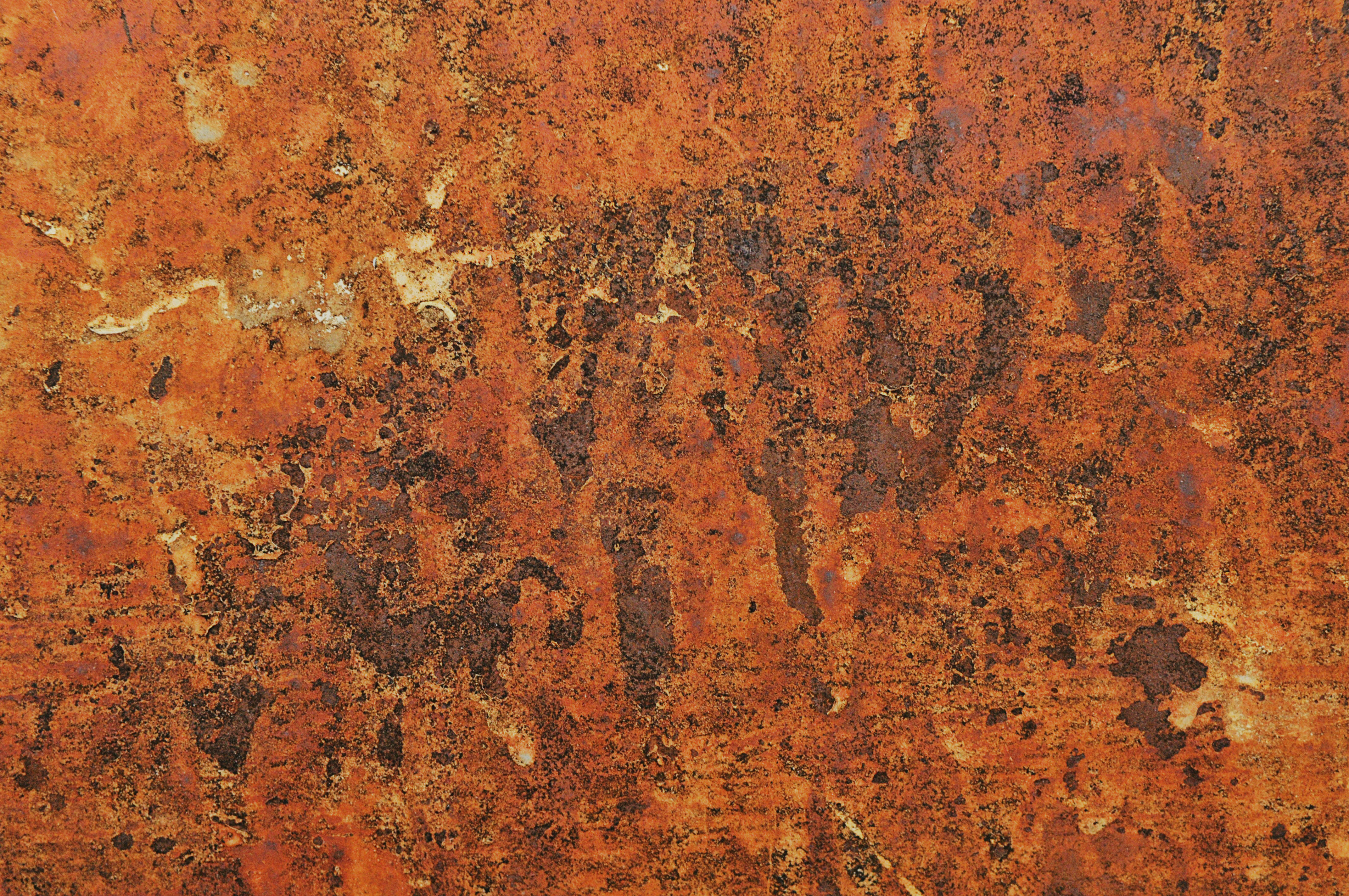 Do metals rust фото 4