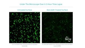 view of microbes under microscope with and without anti microbial coating